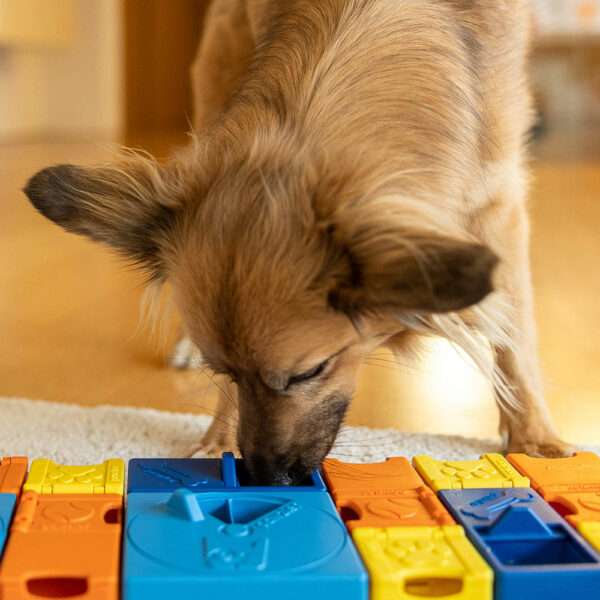 Puzzle Pawzler pour chien
