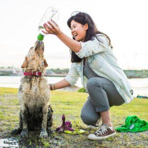 Pommeau de douche pour chien Kurgo